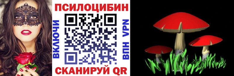 Галлюциногенные грибы мицелий Усть-Илимск