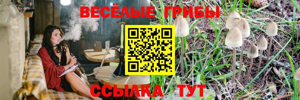 Галлюциногенные грибы GOLDEN TEACHER  Вход с VPN  цены наркотик  Усть-Илимск  Псилоцибиновые грибы Magic Shrooms 